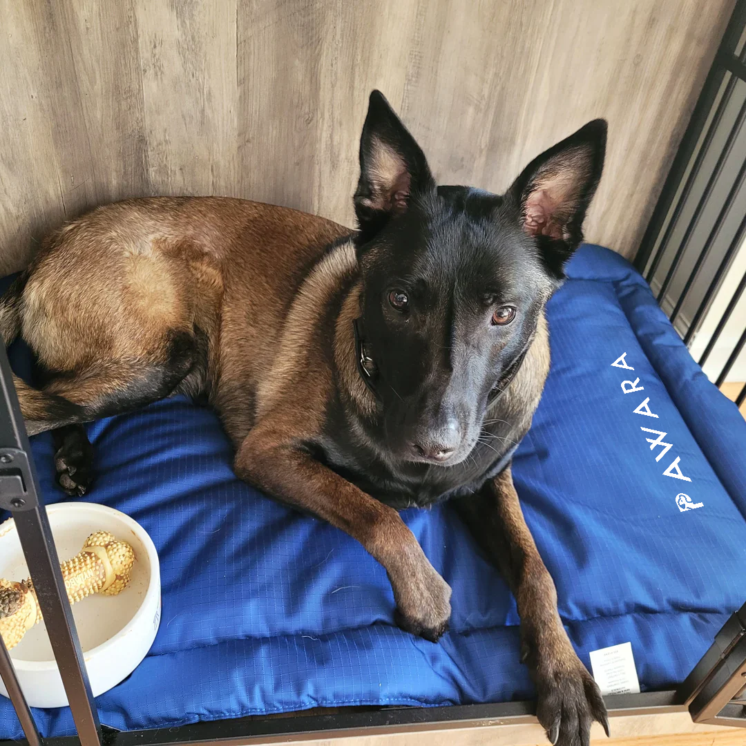 Pawara - Travel Mat 2.0