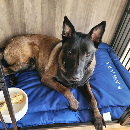 Pawara - Travel Mat 2.0