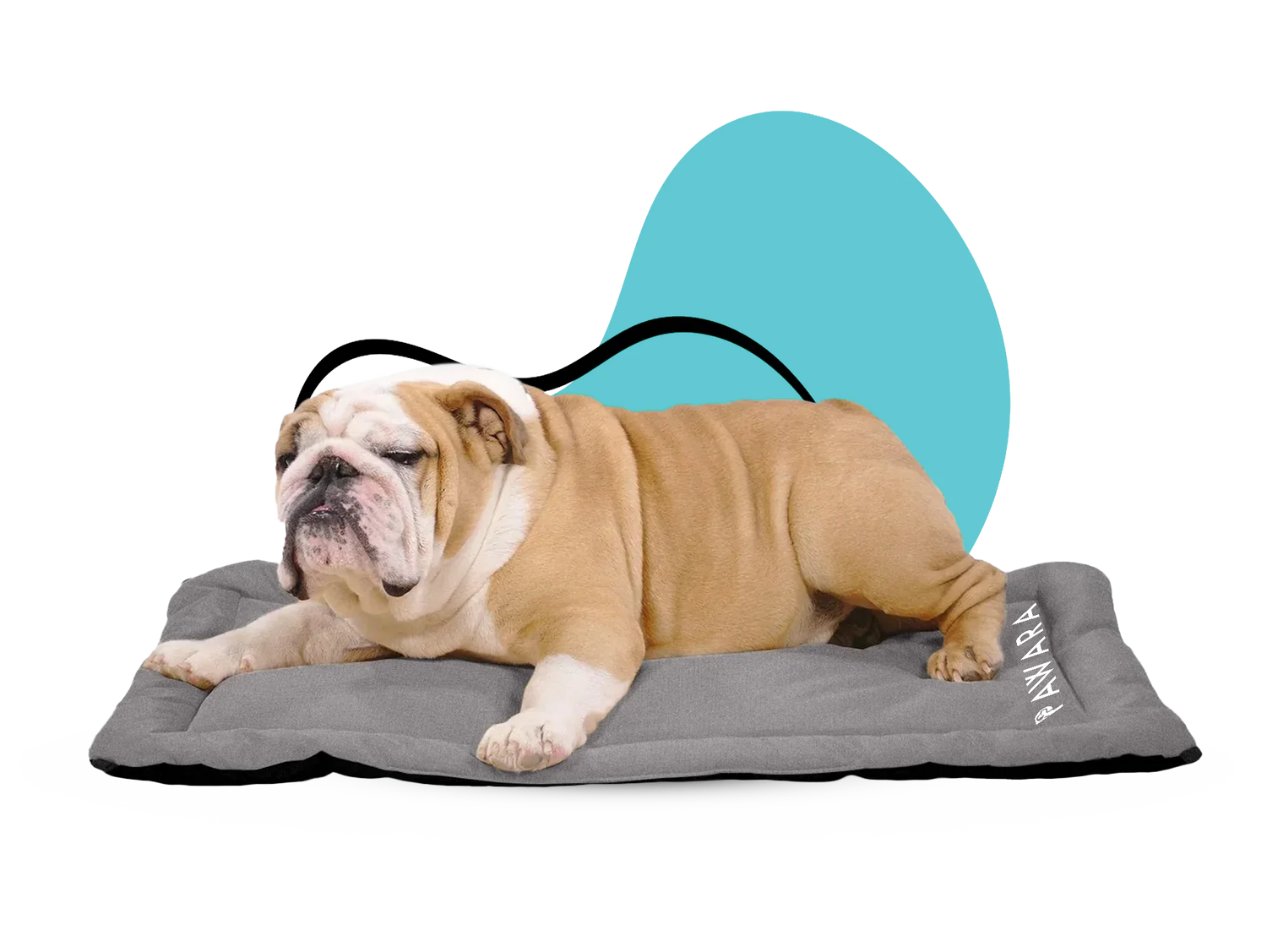 7.png__PID:7e0d5031-dfd0-4617-8d68-fb52827742d6