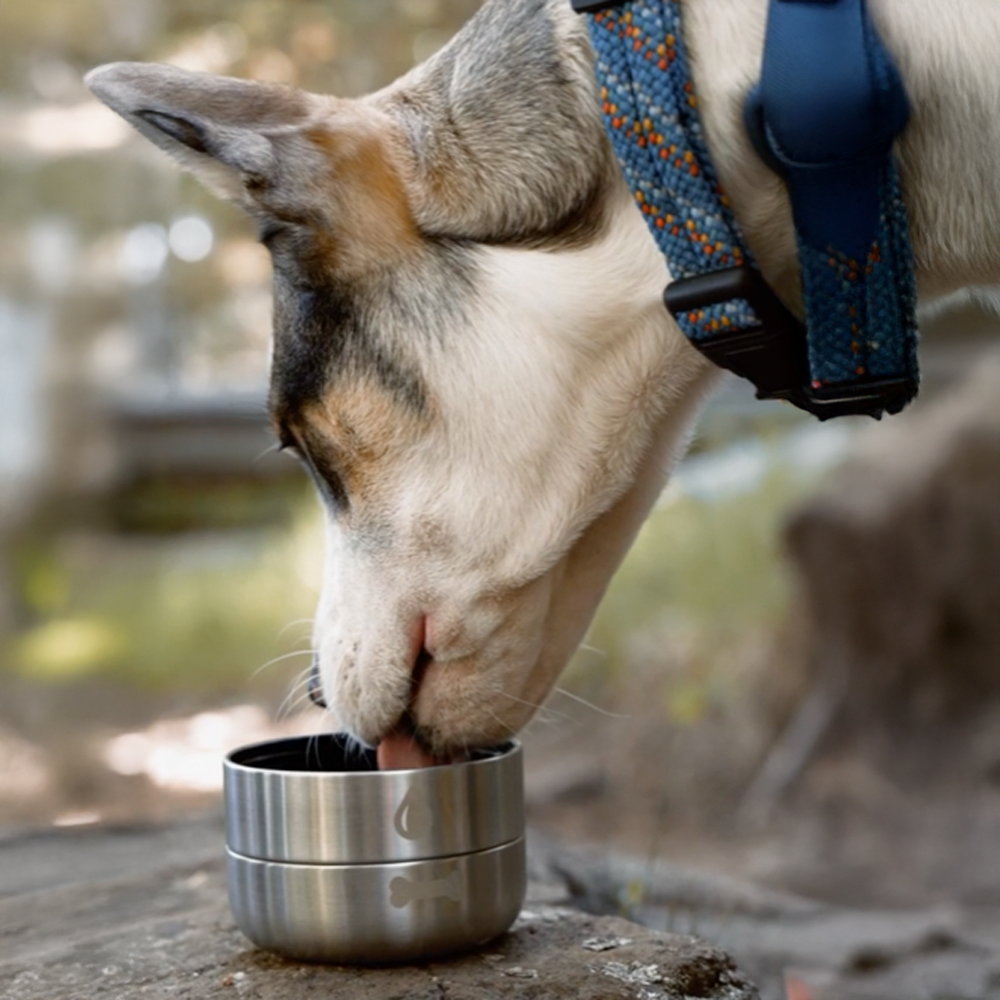 Hunde-Wasserflasche mit abnehmbaren Schüsseln