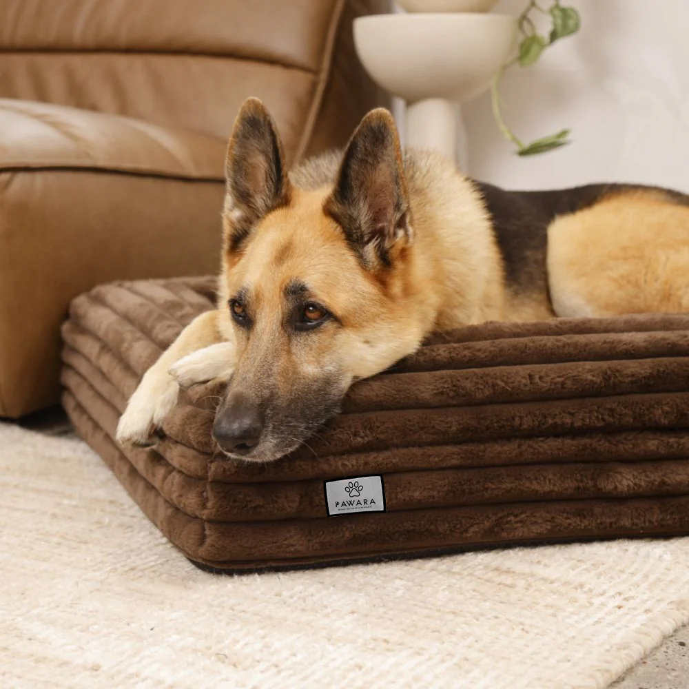 Gedächtnisschaum-Hundebett