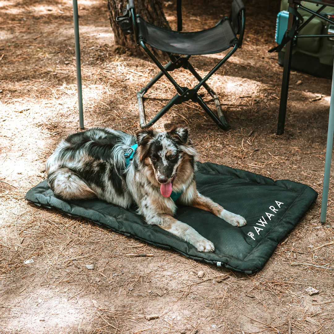 Pawara - Travel Mat 2.0