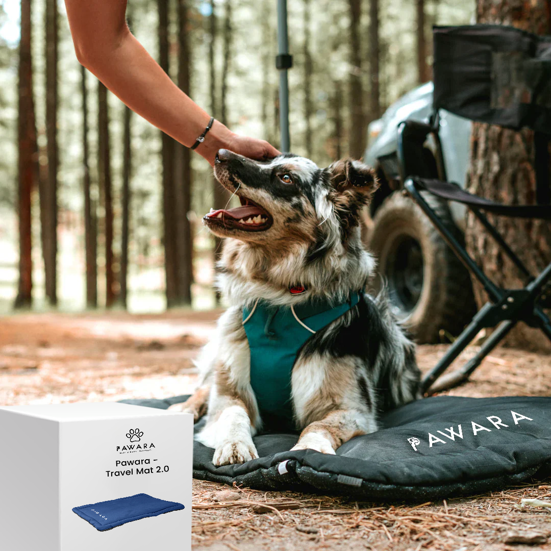 Pawara - Travel Mat 2.0
