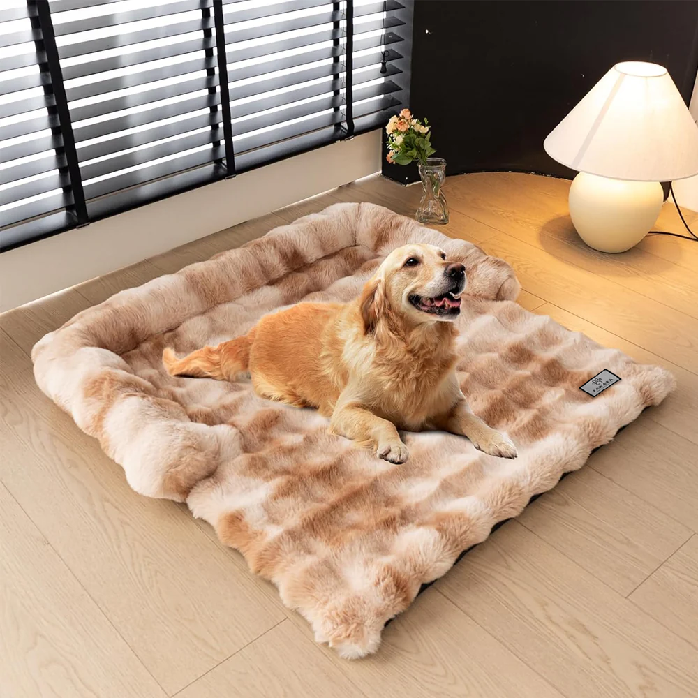 Sofaschoner für Haustiere