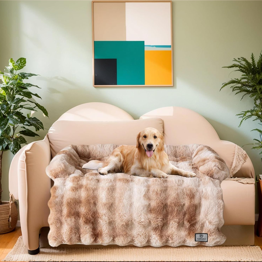 Sofaschoner für Haustiere